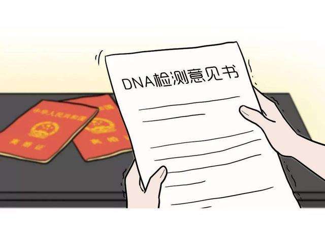 深圳為什么上戶口要做親子鑒定